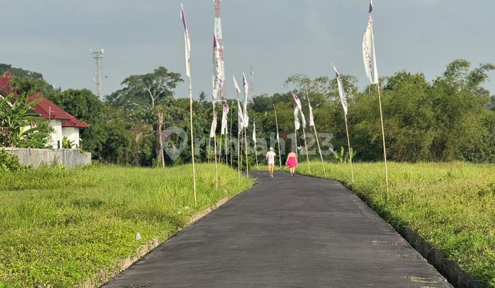 Dijual Tanah Kavling di Bongan Dekat Kedungu, Tabanan, Lokasi Strategis Dekat dengan Tempat Wisata