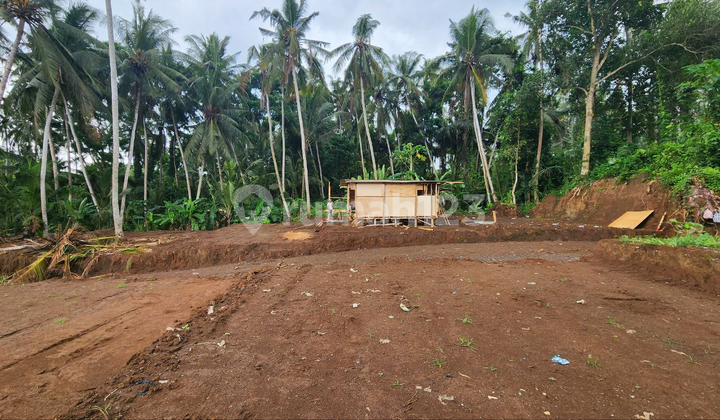 Own a Premium River Side Villa Plot with River and Rice Field Views in Saba, Gianyar Near Sanur Immediately Own a Premium River Side Villa Plot with River and Rice Field Views in Saba, Gianyar Near Sanur Immediately