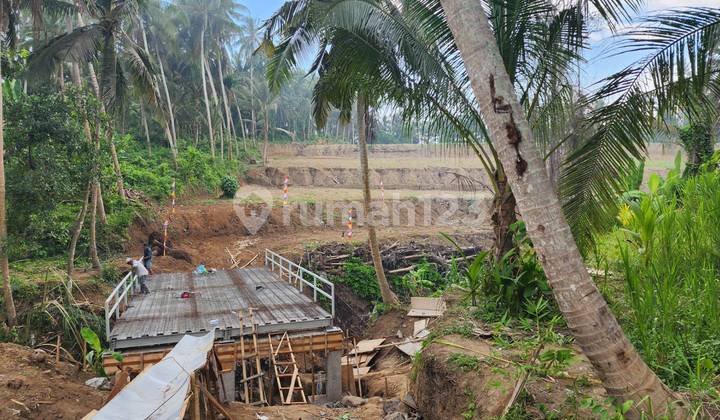 Dijual Tanah Kavling Villa Premium di Saba, Gianyar, Bali View Lembah Hutan Hijau, Sawah Terasering, dan Sungai. Cocok untuk Villa Pribadi atau Investasi Jangka Panjang.