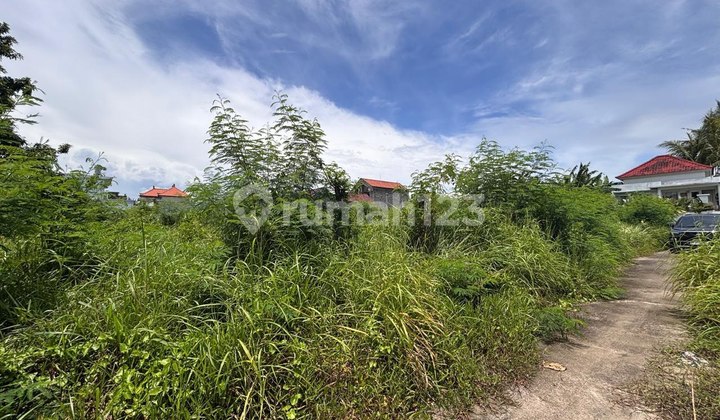 Tanah Dijual !! Tanah Harga Ekonomis View Sawah di Keramas, Gianyarok untuk Dibangun Rumah