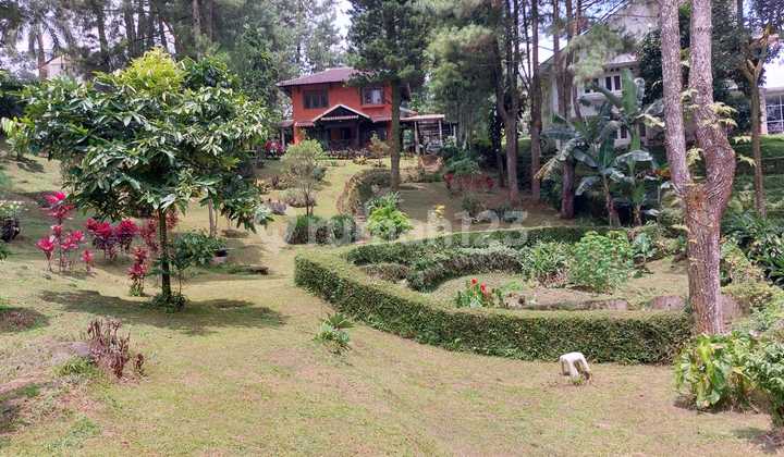 Villa Cilember, Megamendung, Cisarua, untuk Liburan dan Investasi Lokasi Asri Sejuk Tenang Villa Cilember, Megamendung, Cisarua, untuk Liburan dan Investasi Lokasi Asri Sejuk Tenang