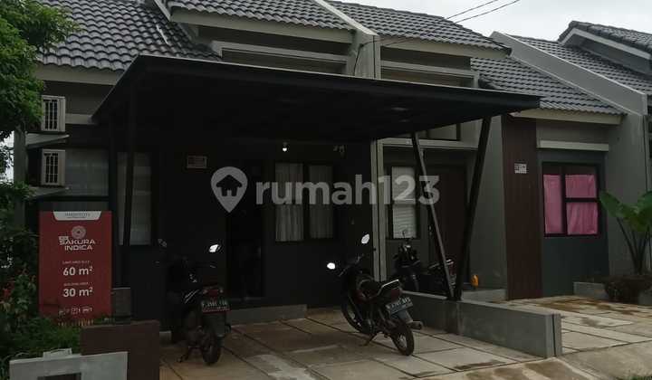 New Sakura Indica: Your Zen Corner In Harvest City 1