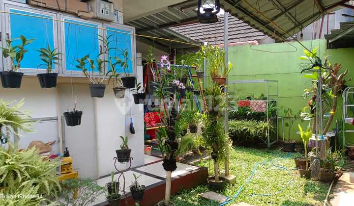 Rumah Classic Elegan, Nyaman dan Dirawat Sepenuh Hati. Dekat Tol Jagorawi Cibinong - Gunung Putri 2