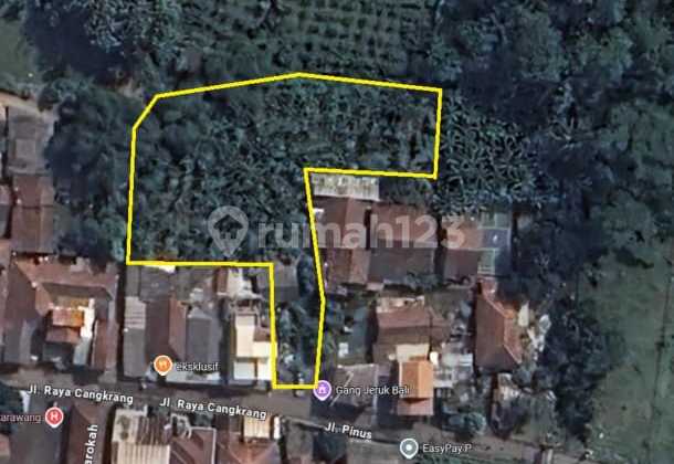 Tanah 1500 M2 di Lokasi Sangat Strategis Belakang Ipb Dramaga Cocok Buat Kos dan Tempat Usaha