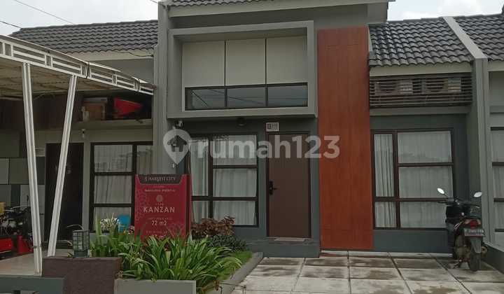 Sakura Kanzan Harvest City Is Blooming!