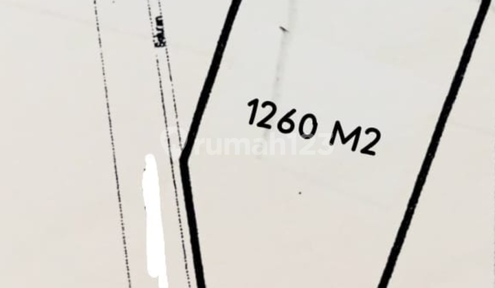 Dijual Cepat Gudang Tua Kapuk Pulo Kapuk Cengkareng Luas 1260 M Dijual Cepat Gudang Tua Kapuk Pulo Kapuk Cengkareng Luas 1260 M