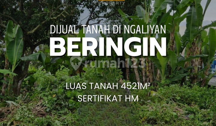Dijual Tanah di Beringin Ngaliya 1