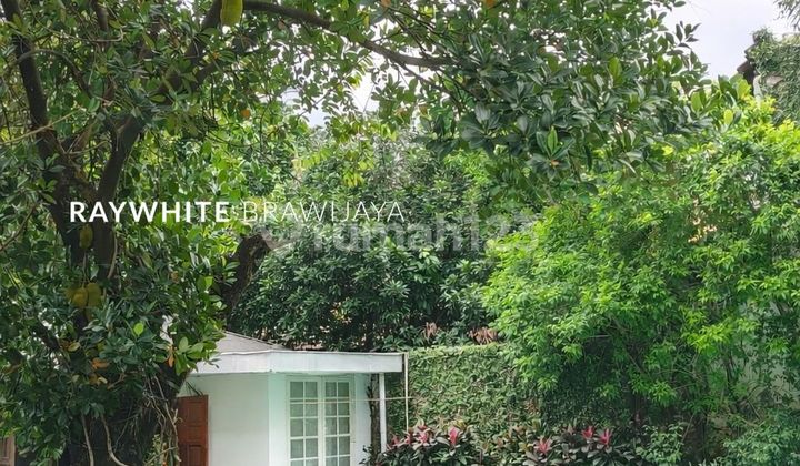 Rumah Siap Huni Lingkungan Tenang Area Menteng Rumah Siap Huni Lingkungan Tenang Area Menteng