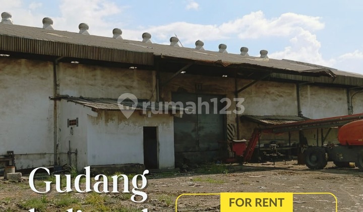 Sewa Gudang Strategis Dekat Pelabuhan Perak Surabaya