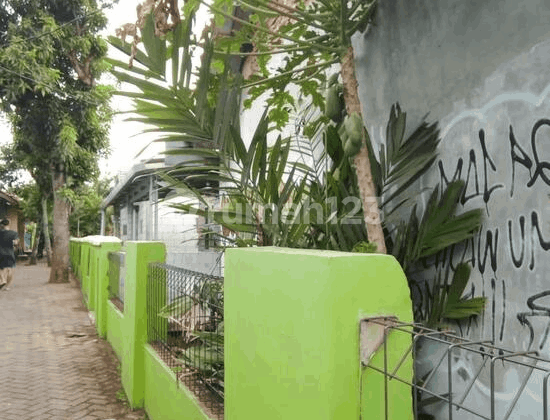 Bedeng Citangkil Luwung Sawo Harga Miring 2