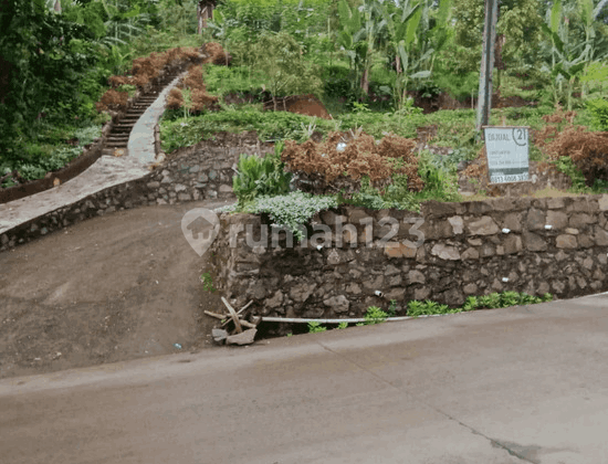 Tanah Harga Miring Waringinkurung Nego Sampai Deal