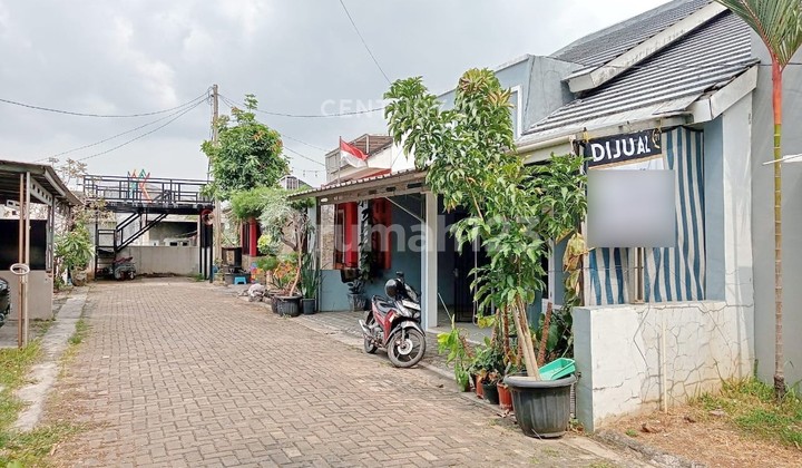 Hunian Bagus Griya Point Wates Nego Sampai Deal Hunian Bagus Griya Point Wates Nego Sampai Deal