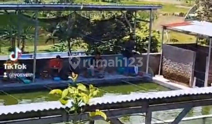 Villa Plus Pemancingan Cikerai Suitable for Investment