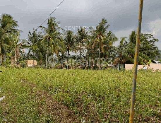 Tanah Sambidongko Cikerai Harga Miring Nego Sampai Deal Tanah Sambidongko Cikerai Harga Miring Nego Sampai Deal