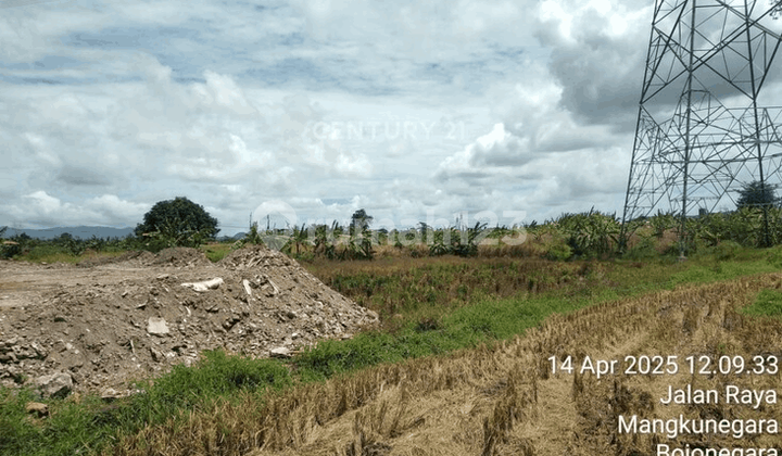 Tanah Jalan Raya Bojonegara Kawasan Industri