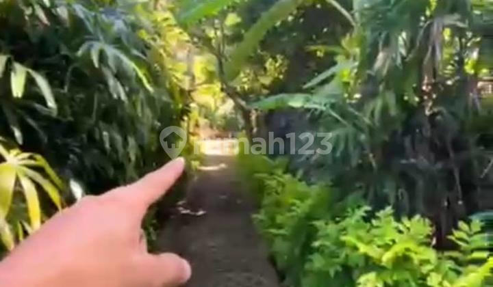 Premium Ready-to-Build Square Land in Batu Jimbar Near Sanur Beach Premium Ready-to-Build Square Land in Batu Jimbar Near Sanur Beach