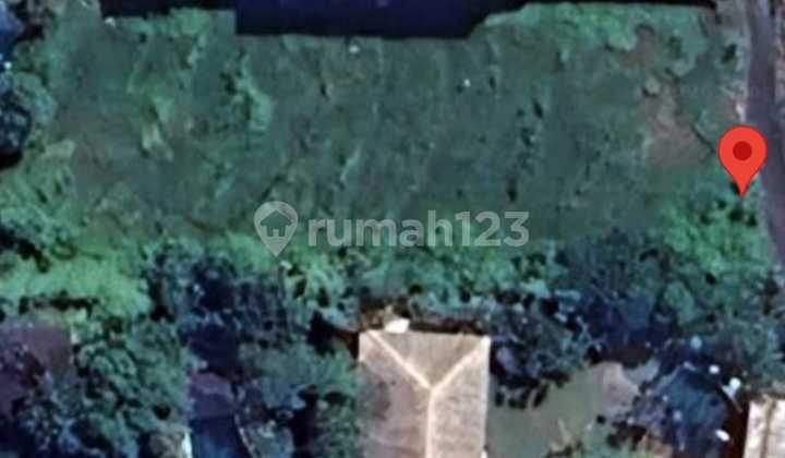 Tanah Strategis Zona Kuning View Sawah di Umalas 2, Kerobokan