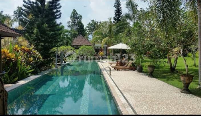Villa Mewah 6 Unit View Sawah dan River Side Dgn Pool, Singapadu Villa Mewah 6 Unit View Sawah dan River Side Dgn Pool, Singapadu