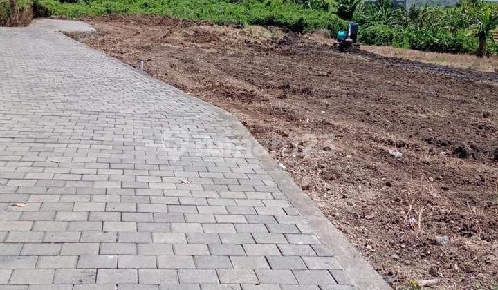 Tanah Premium Dekat Pantai Batu Bolong bisa Ambil Sebagian Canggu