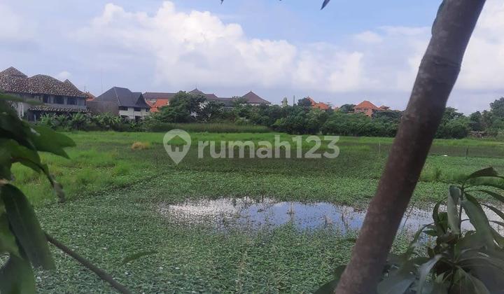 Tanah Strategis Luas Zona Kuning Bs Sebagian Kutat Lestrai Badung