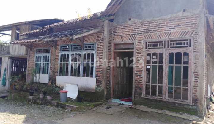 Rumah Luas Strategis di Pinggir Jalan Merbuh, Kendal (Nsb) Rumah Luas Strategis di Pinggir Jalan Merbuh, Kendal (Nsb)