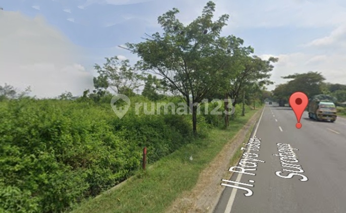 Tanah 40 Ha SHM Jl Provinsi Kota Tuban,Mrutuk Utara, Kec Widang Tanah 40 Ha SHM Jl Provinsi Kota Tuban,Mrutuk Utara, Kec Widang