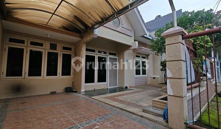 Rumah Wisma Mukti 200 M² Dkt Araya,Manyar,Kertajaya,Galaxy,Nginde Rumah Wisma Mukti 200 M² Dkt Araya,Manyar,Kertajaya,Galaxy,Nginde