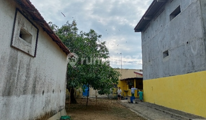 Rumah Burung Walet Luas 1270 M²,Arosbaya,Bangkalan Madura Nol Jl, 2