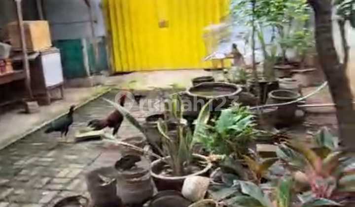 Shop & Warehouse with Rooftop at Menur Pumpungan Near Merr, Stiesia, Manyar 2