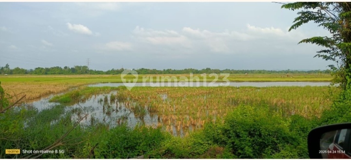 Land on Jalan Raya Bypass Suramadu Bangkalan Madura, Near Rest Area