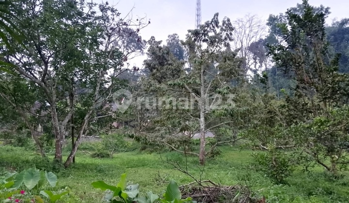 3.5 Hectare Land Plot in Wonosalam, Jombang