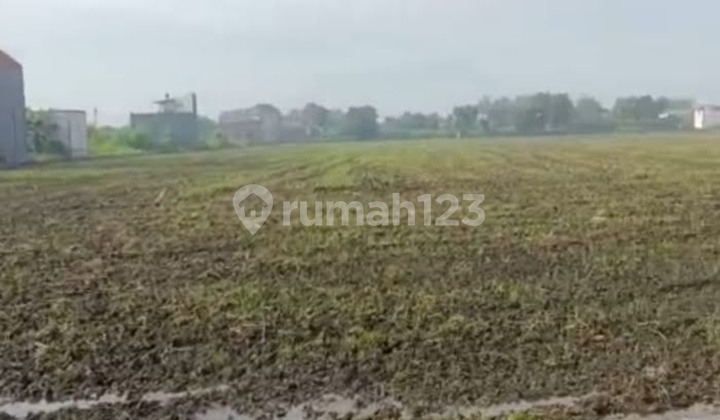 Land Plot 8400 M² Sukodono Sidoarjo SHM Near Kletek