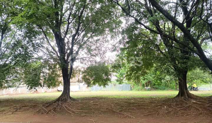 Kavling Boilevard Lokasi Terbaik Harga Termurah Kavling Boilevard Lokasi Terbaik Harga Termurah