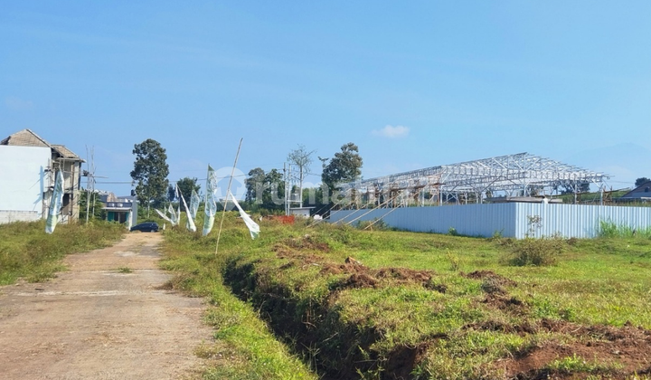 Land in Asrikaton Malang Near Pakis Toll Road Land in Asrikaton Malang Near Pakis Toll Road