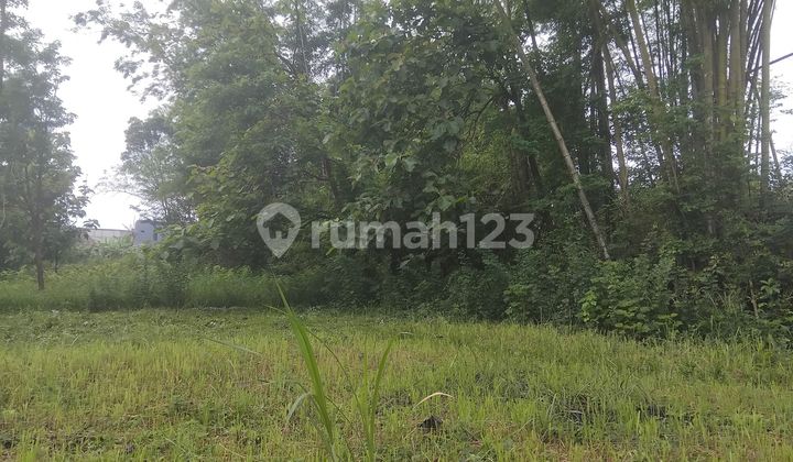 Lokasi Strategis Tanah Siap Bangun Kawasan Terbentuk Dekat Sekolah