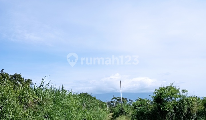 Row Jalan 6M Area Kampus Angsur 12X Tanpa Bunga Kavling Siap Bangun