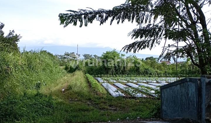 Bayar Angsur Include Fasum Kavling Siap Bangun Lokasi Terbaik Bayar Angsur Include Fasum Kavling Siap Bangun Lokasi Terbaik