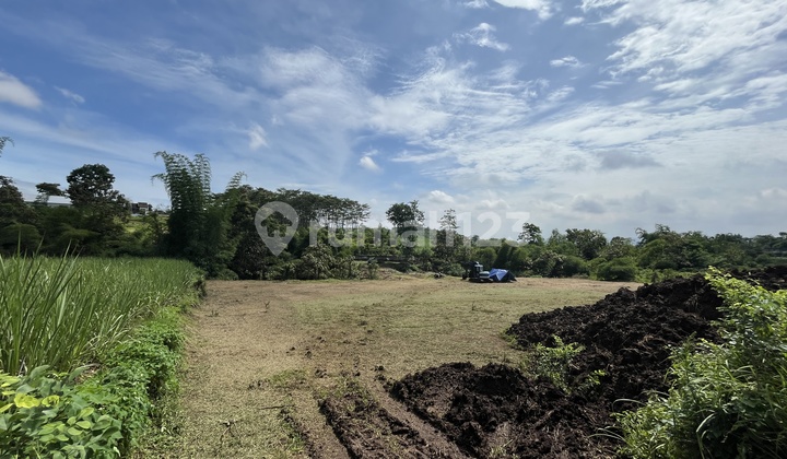 Best Investment on Roadside with 2-Car Access Ready-to-Build Land