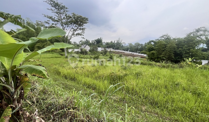 Unit Terbatas Sebelah Thursina Tanah Murah Kawasan Terbentuk Unit Terbatas Sebelah Thursina Tanah Murah Kawasan Terbentuk