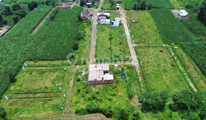 Cheap Land in Pakis Malang Ready to Build and Strategic