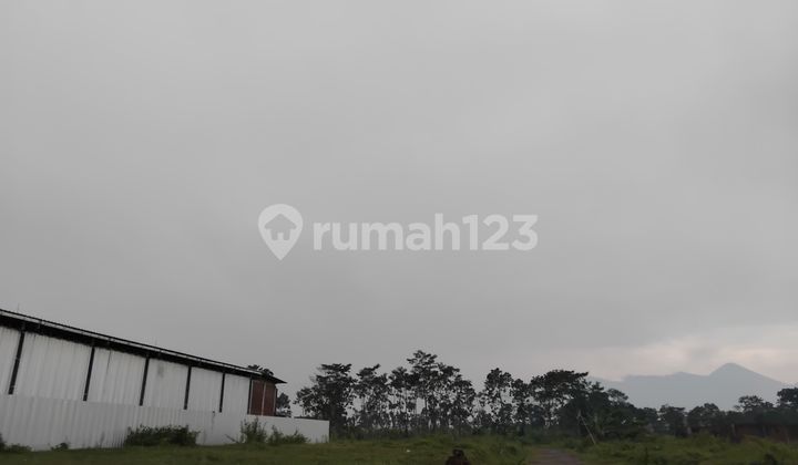 Kavling Strategis Kawasan Terbentuk Area Premium Malang Akses Mudah