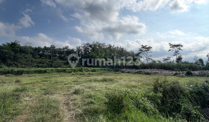 Roadside Plot Ready to Build Access for 2 Cars Limited Units