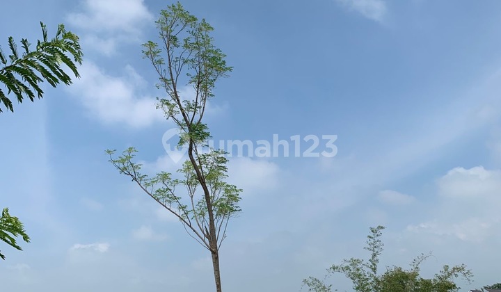 Row Jalan 6M SHM Split Tanah Murah Malang Cocok Bangun Kost