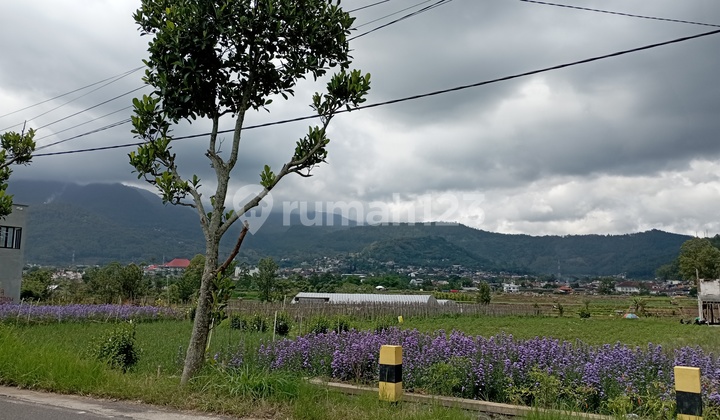 5 Menit Selecta Villa Pitu Metro Bayar Angsur Include Fasum 5 Menit Selecta Villa Pitu Metro Bayar Angsur Include Fasum