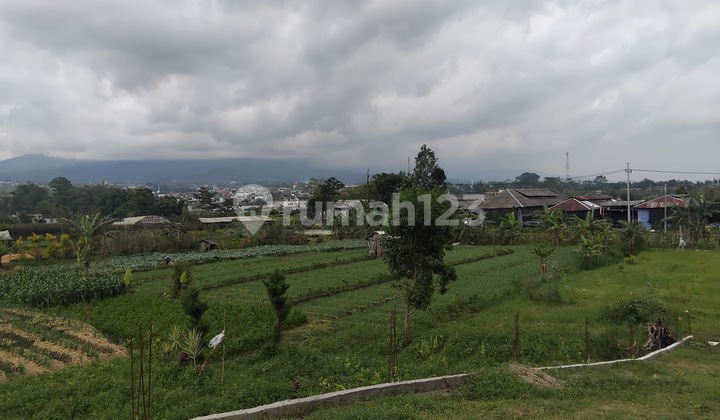 Rumah Villa Strategis Batu Dekat Tempat Wisata 2