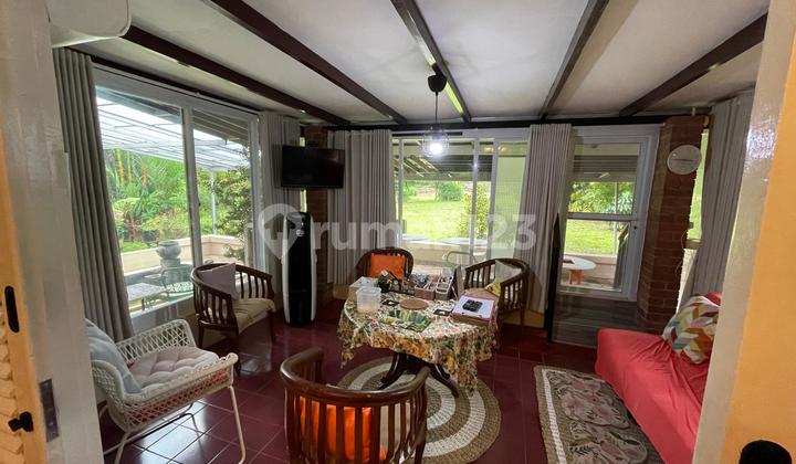 A Very Serene House with a Very Spacious Yard 2