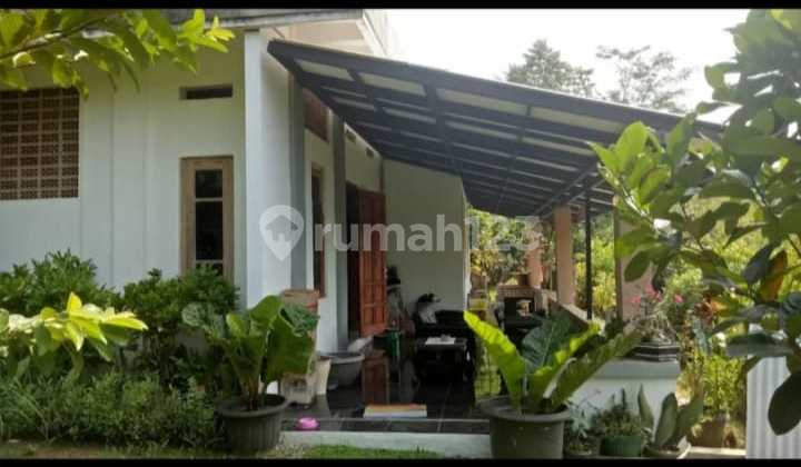 Dijual Villa di Bogor Ciaruteun Kel Cimanggu Kec . Cibungbulang Bogor Jawa Barat