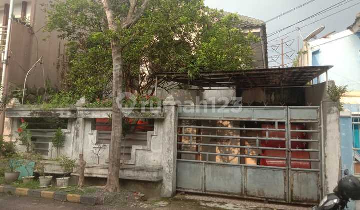 Jual Rumah Komplek Pasadena, Luas 250 Meter, 4 Kamar Tidur Jual Rumah Komplek Pasadena, Luas 250 Meter, 4 Kamar Tidur