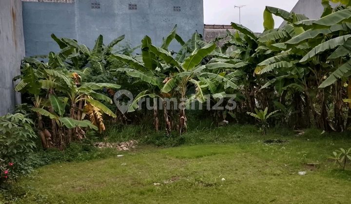 Dijual Tanah Kosong di Daerah Klampis Dekat Kemana Mana Dijual Tanah Kosong di Daerah Klampis Dekat Kemana Mana