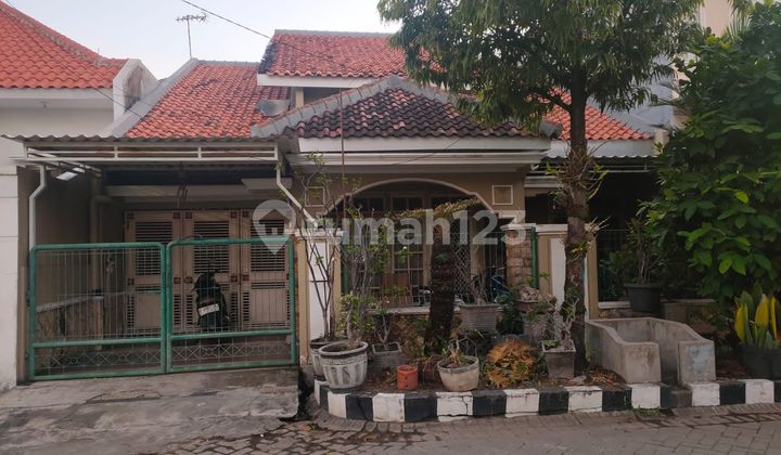 Dijual Rumah di Daerah Rungkut Dijual Rumah di Daerah Rungkut